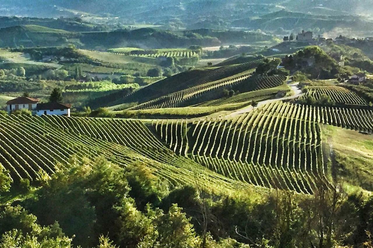 Casa Dei Nonni #Charminglanga Villa Grinzane Cavour Eksteriør billede